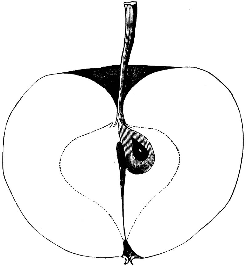 Figure 176.