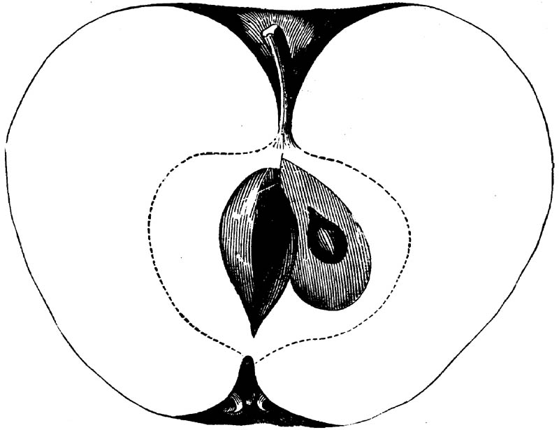 Figure 177.