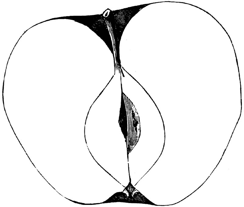 Figure 178.