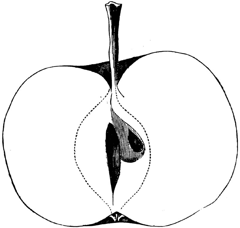 Figure 179.