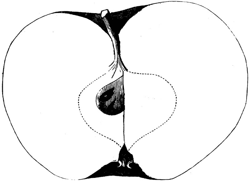 Figure 180.