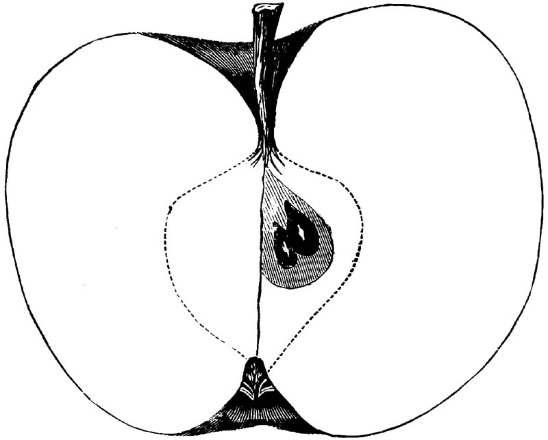 Figure 181.