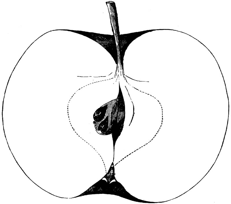 Figure 182.