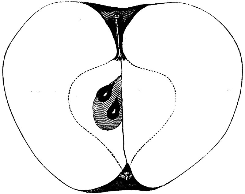 Figure 183.