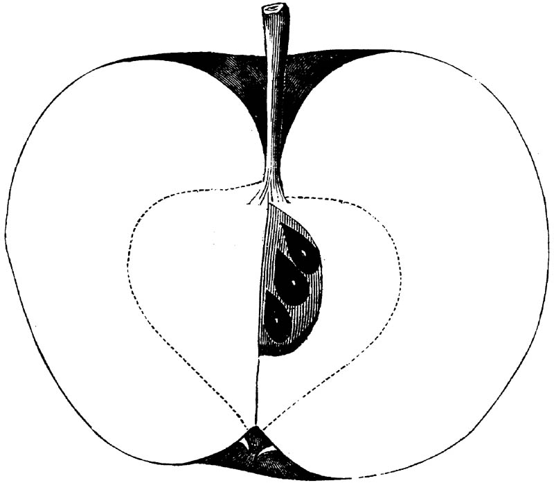 Figure 184.