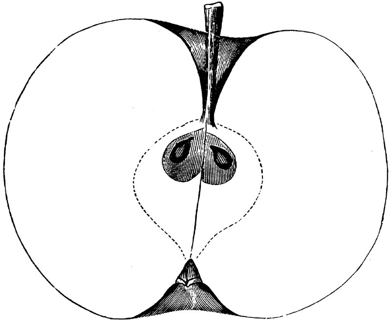 Figure 185.