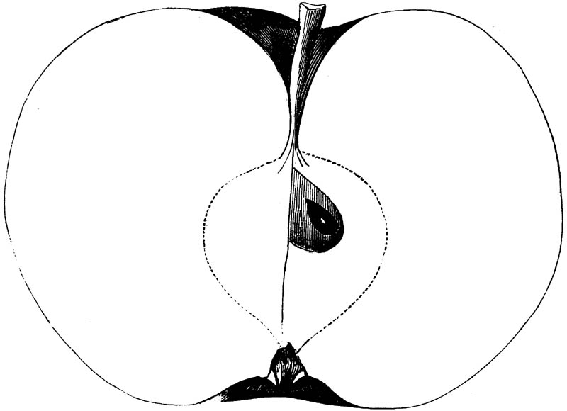 Figure 186.
