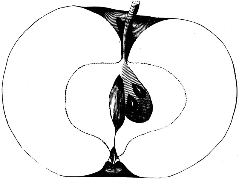 Figure 187.