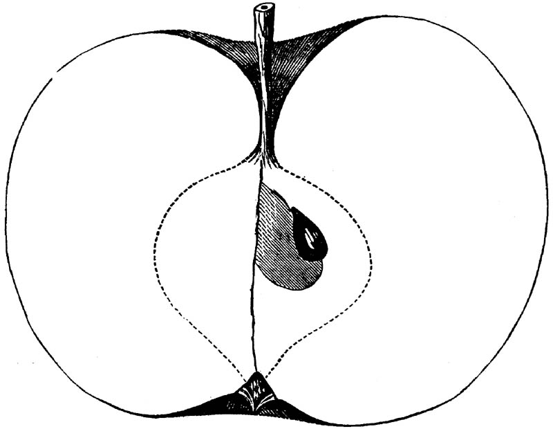 Figure 188.