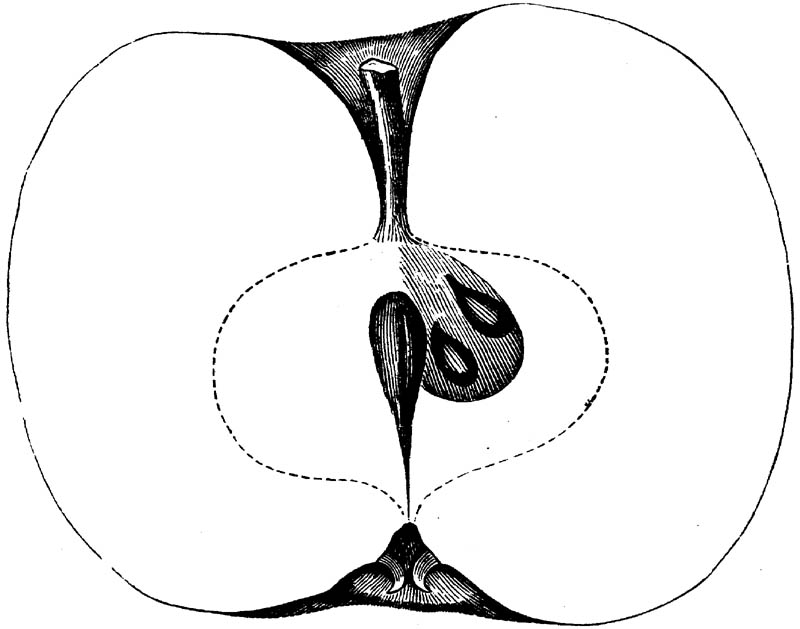 Figure 189.