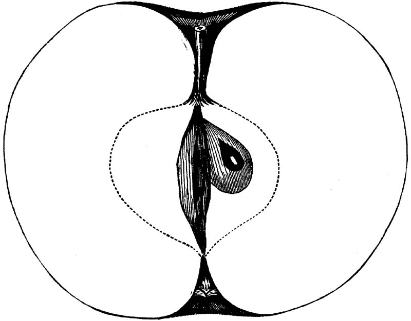Figure 191.