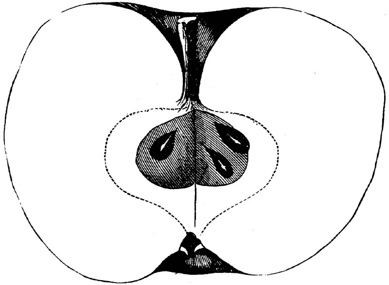 Figure 192.