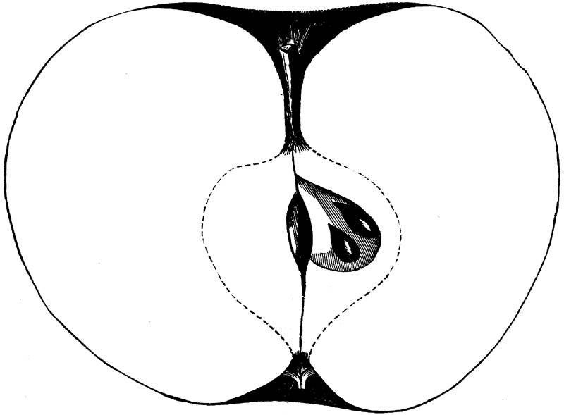 Figure 193.