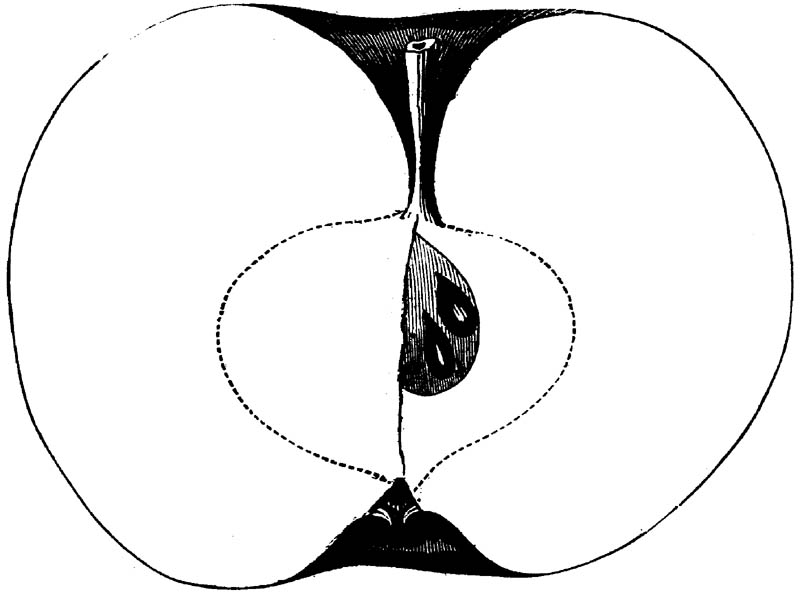 Figure 194.