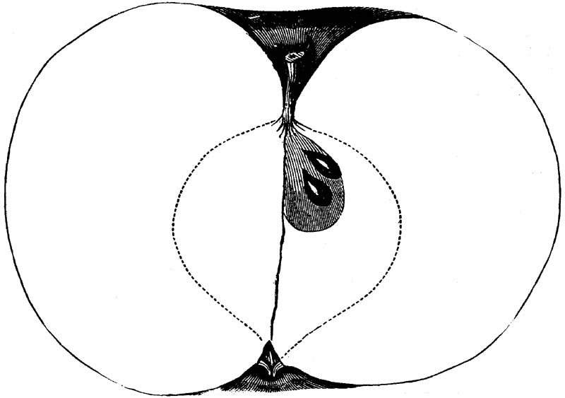 Figure 195.