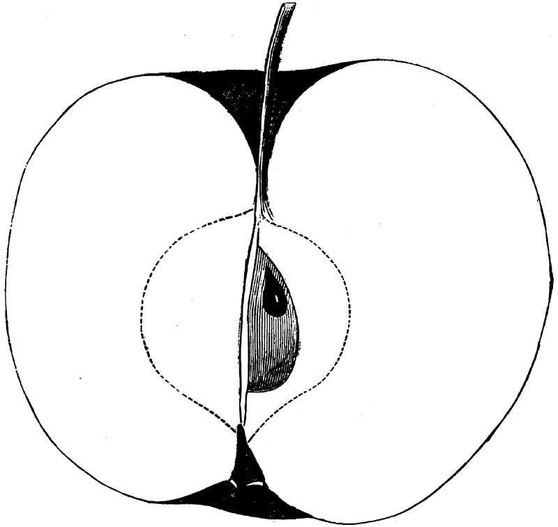 Figure 196.