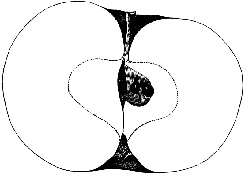 Figure 197.