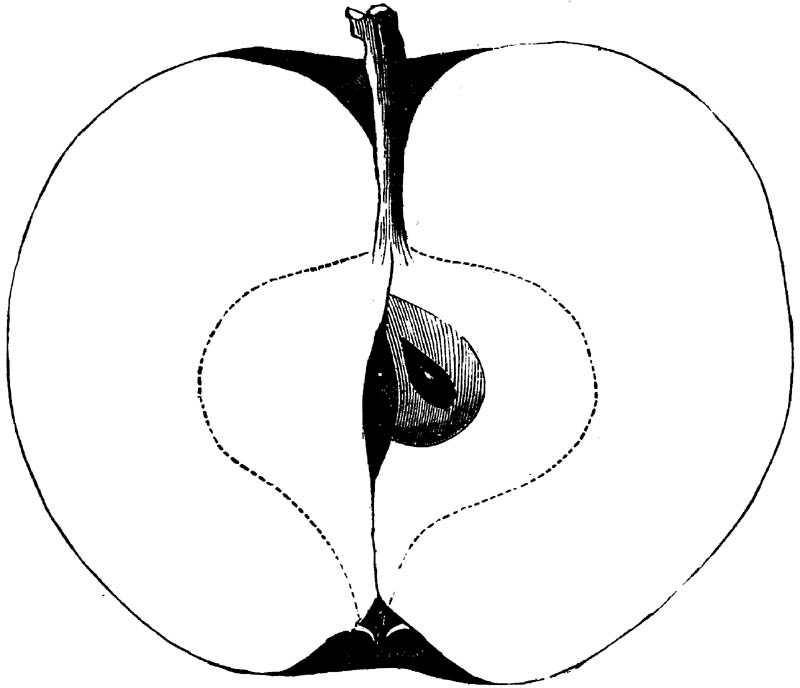 Figure 198.