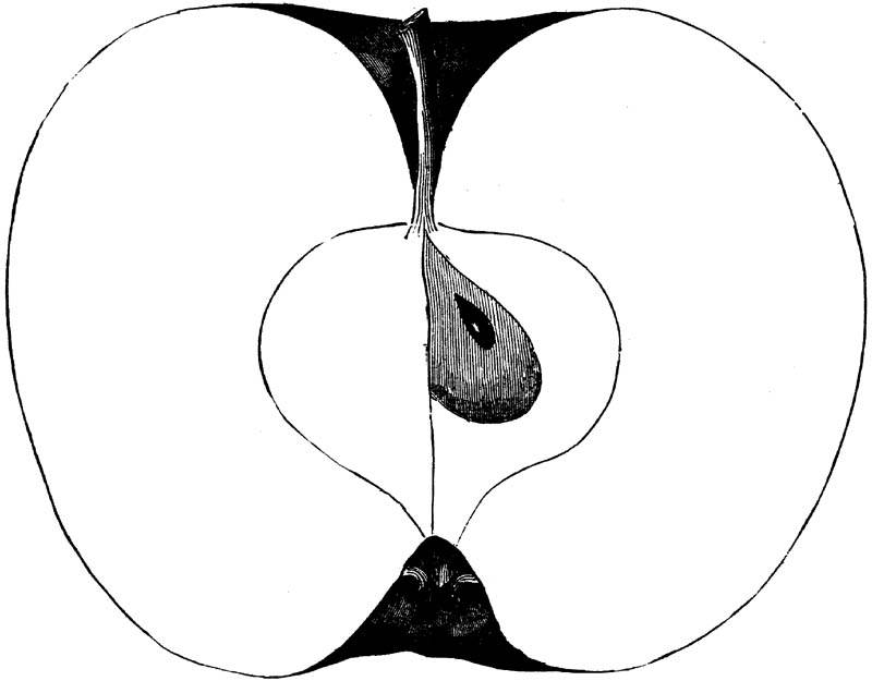 Figure 199.
