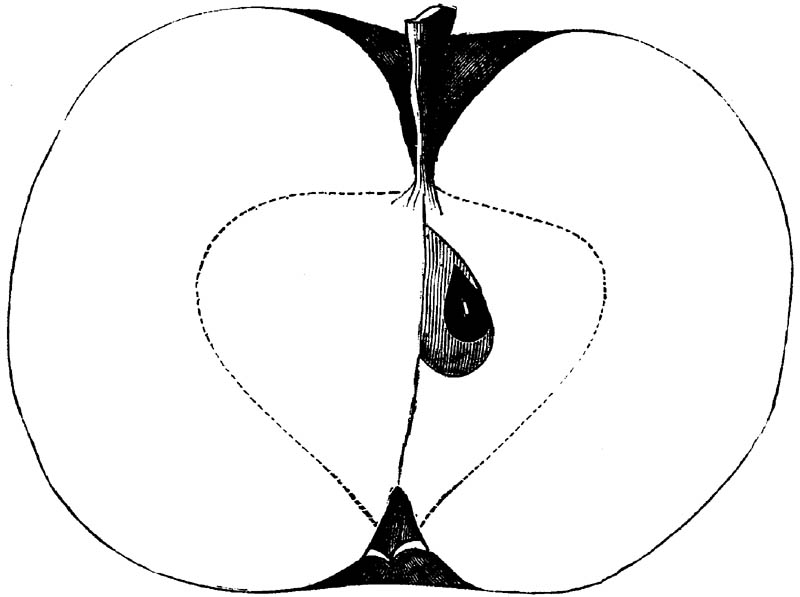 Figure 200.