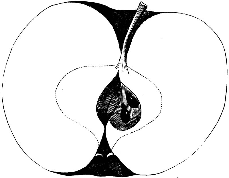 Figure 201.