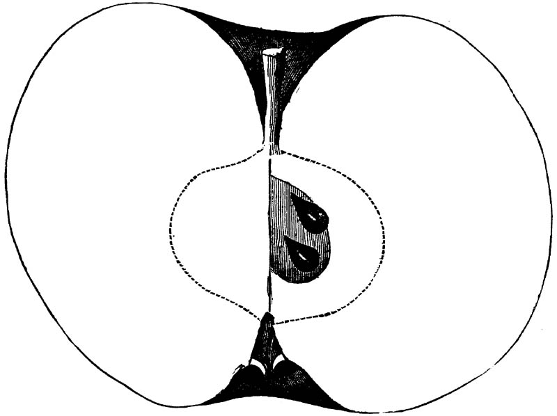 Figure 204.