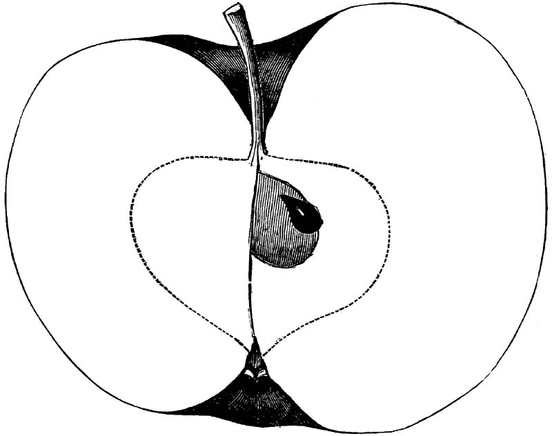 Figure 206.