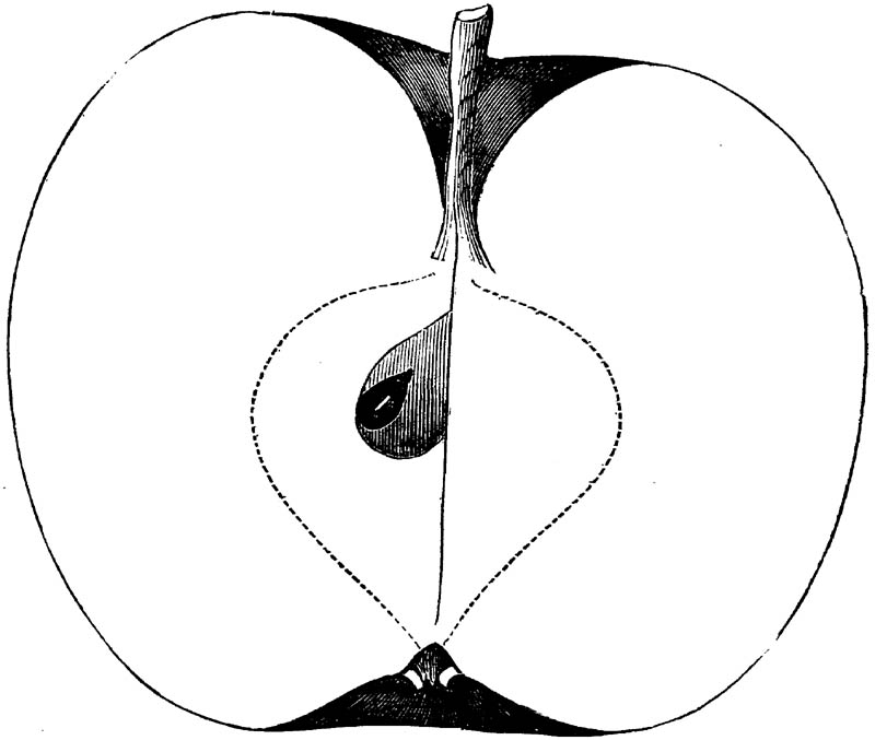 Figure 207.