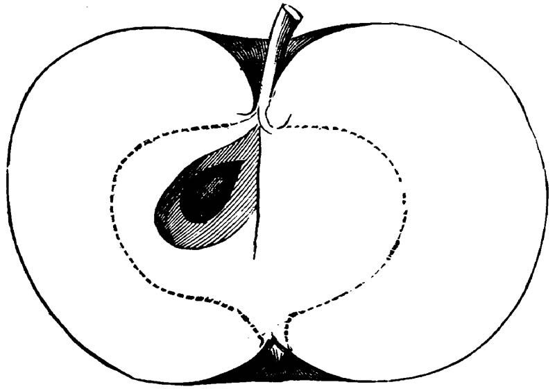 Figure 208.