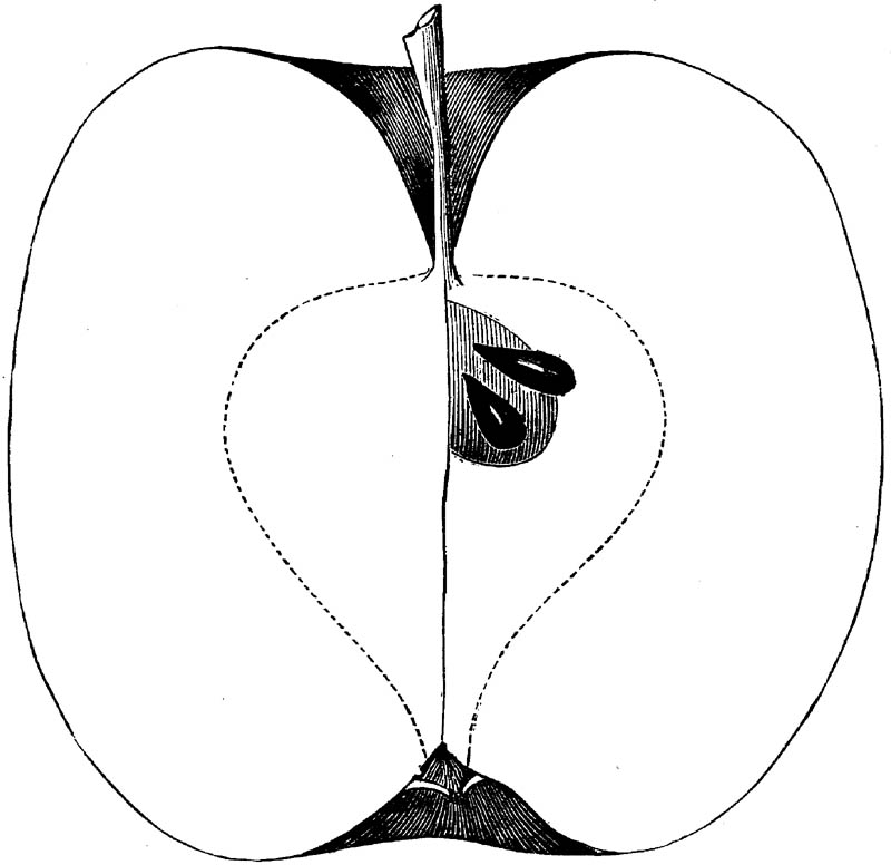 Figure 209.
