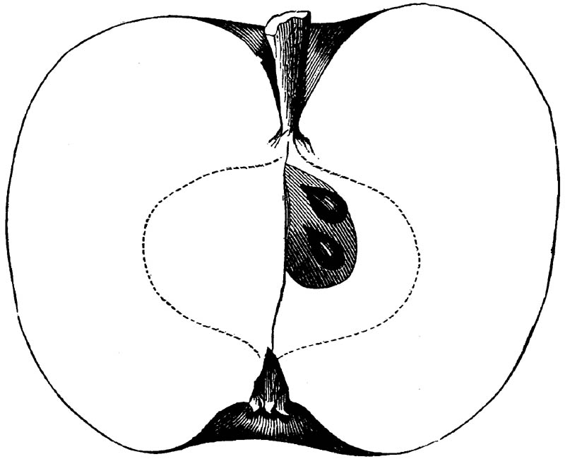 Figure 210.