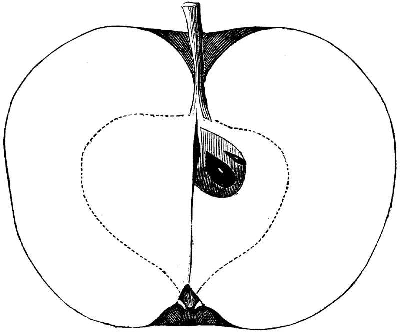 Figure 211.