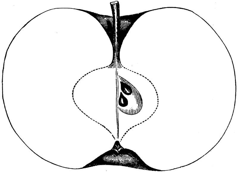 Figure 212.