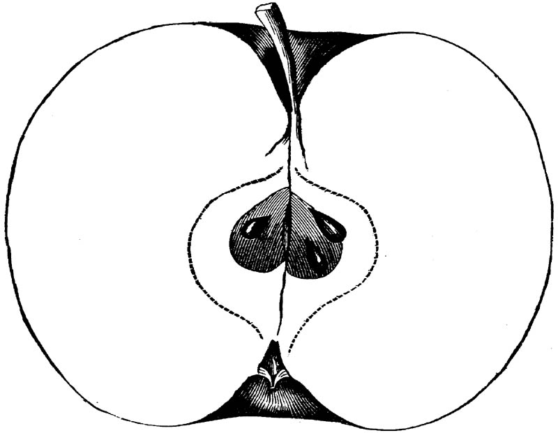 Figure 213.