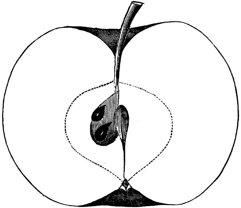 Figure 214.
