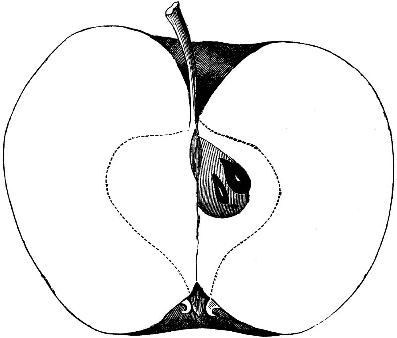 Figure 215.