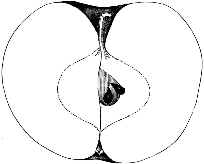 Figure 216.