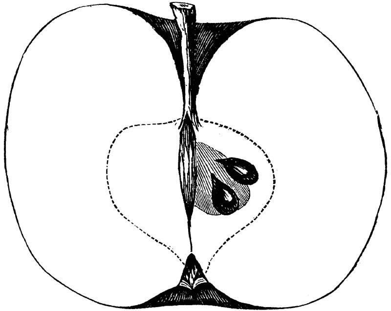 Figure 217.