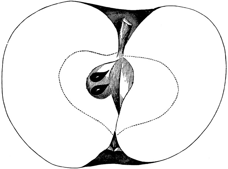 Figure 218.