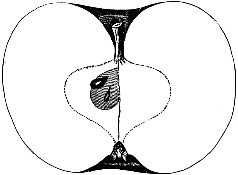 Figure 219.