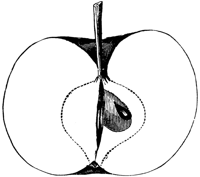 Figure 220.