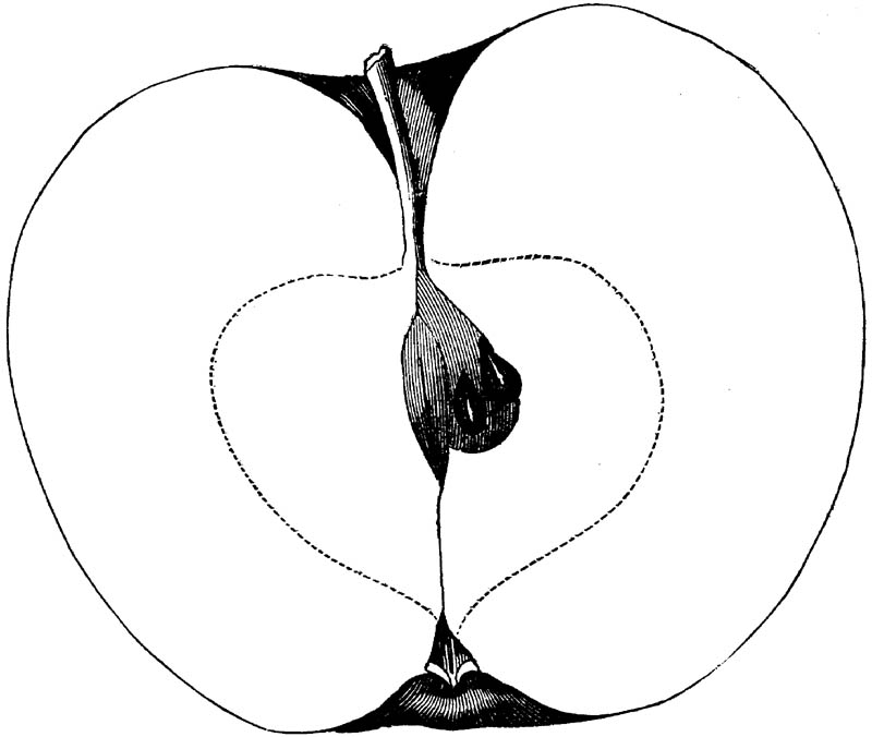 Figure 221.