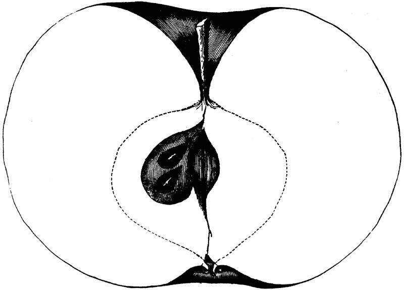 Figure 222.