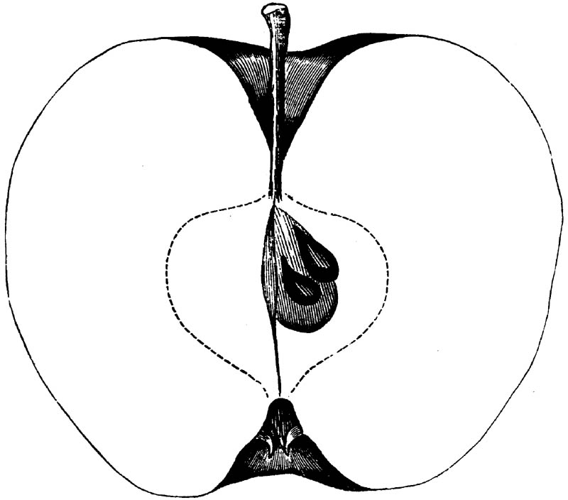 Figure 223.