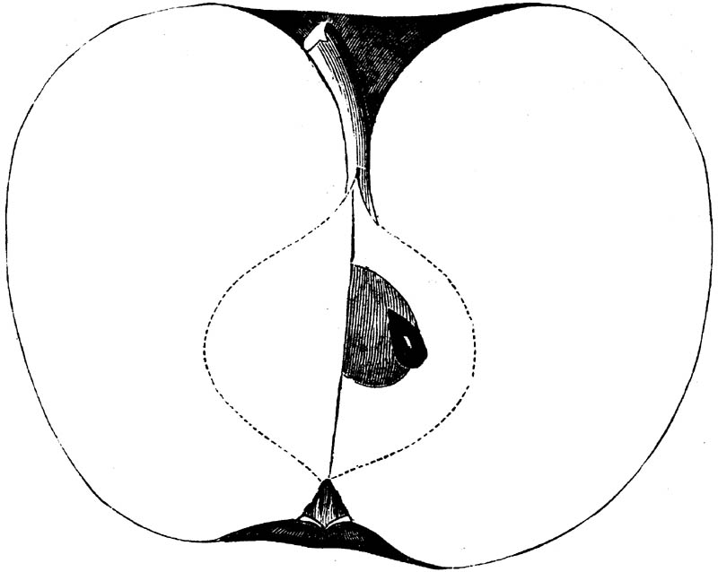Figure 224.