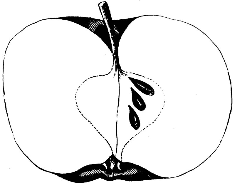 Figure 225.