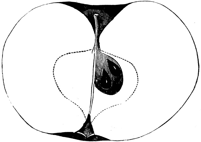Figure 226.
