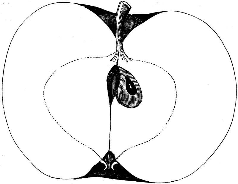 Figure 227.