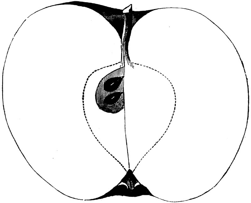 Figure 228.