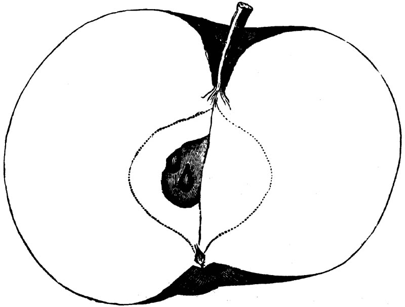 Figure 229.
